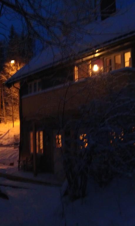Valdres Naturlegvis Fagernes Exterior foto